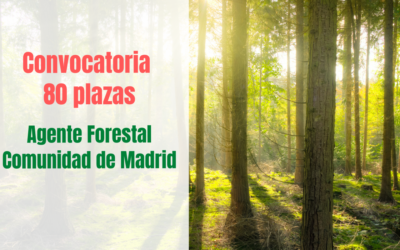 Convocatoria Agentes Forestales Comunidad de Madrid