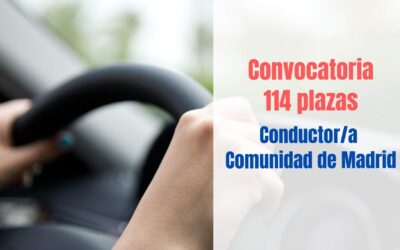 convocatoria conductor cam 2026