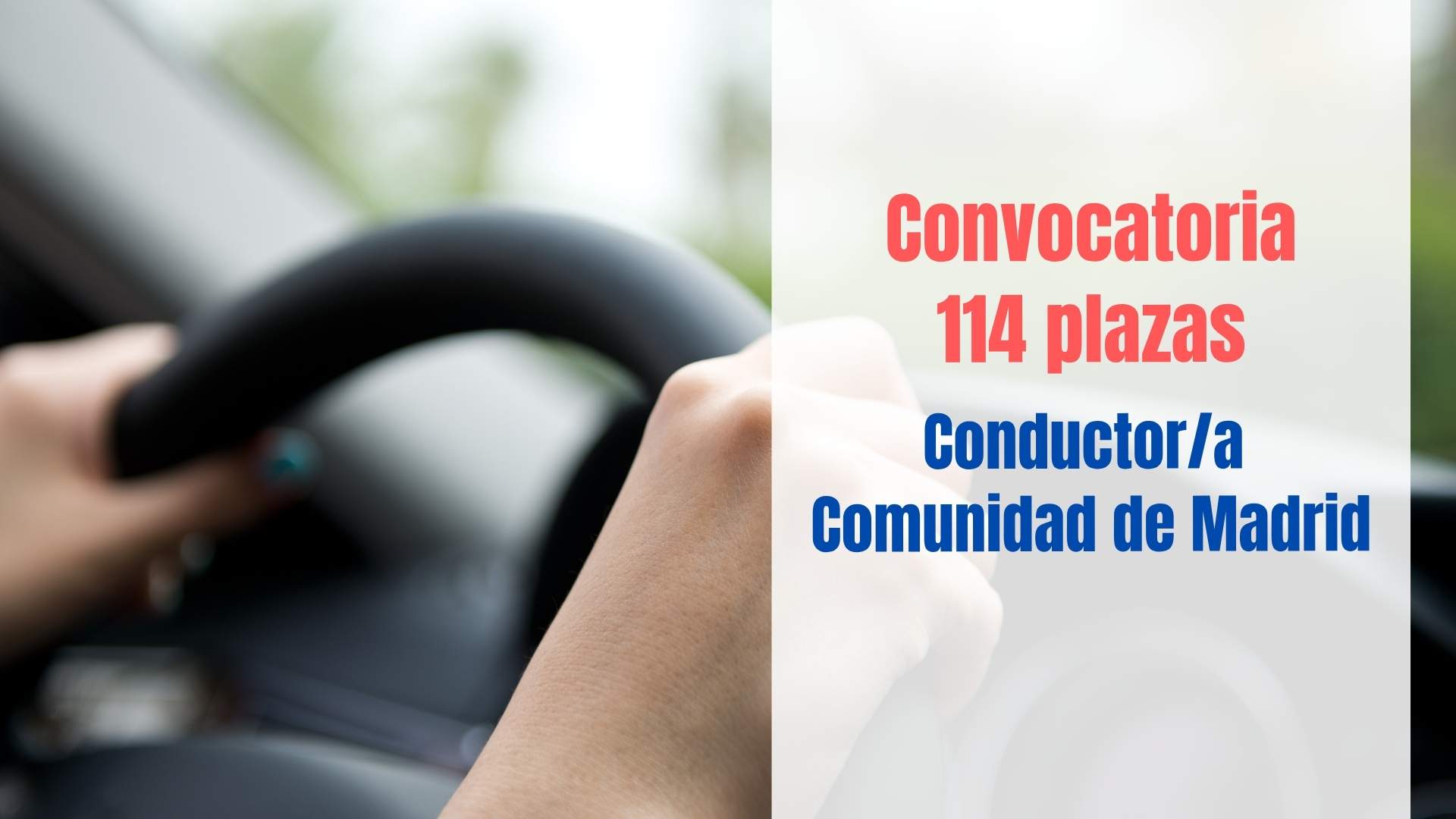 convocatoria conductor cam 2026